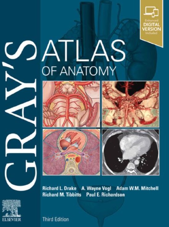 PDF Download Gray's Atlas of Anatomy 3rd Edition Free
