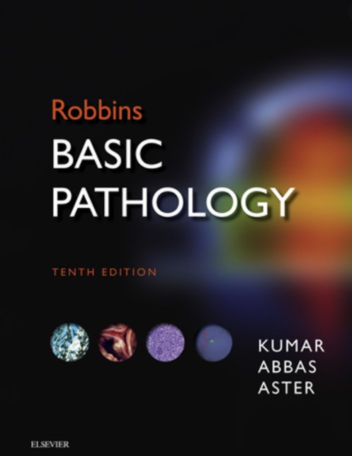 PDF Download Robbins Basic Pathology 10th Edition 2021 Free