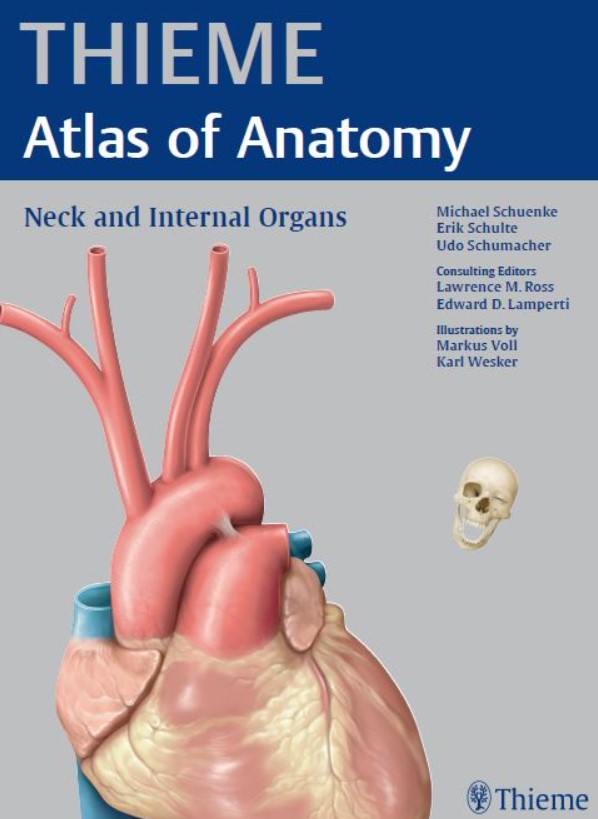 PDF Download THIEME Atlas of Anatomy Neck and Internal Organs Free
