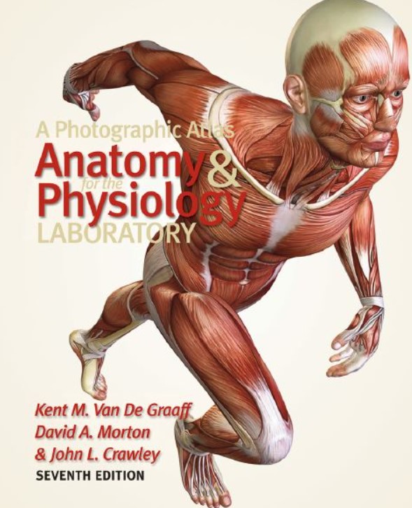 PDF Download A Photographic Atlas for the Anatomy and Physiology Laboratory 7th Edition Free