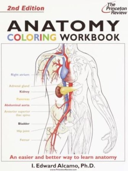 PDF Download Anatomy Coloring Workbook 2nd Edition Free