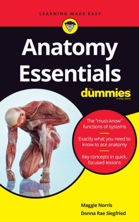 PDF Download Anatomy Essentials For Dummies 2021 Free