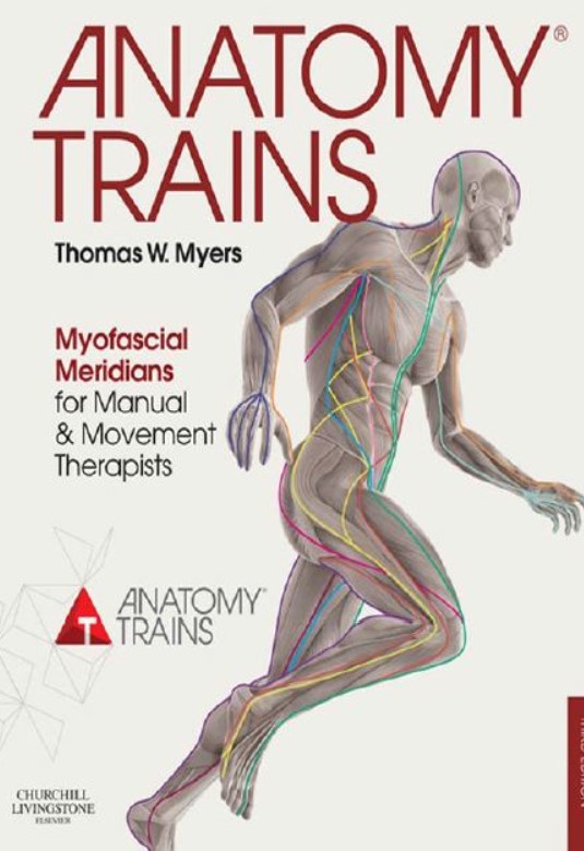PDF Download Anatomy Trains Myofascial Meridians for Manual and Movement Therapists Free