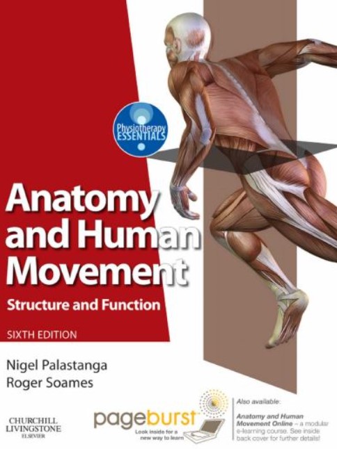 PDF Download Anatomy and Human Movement 6th Edition Free