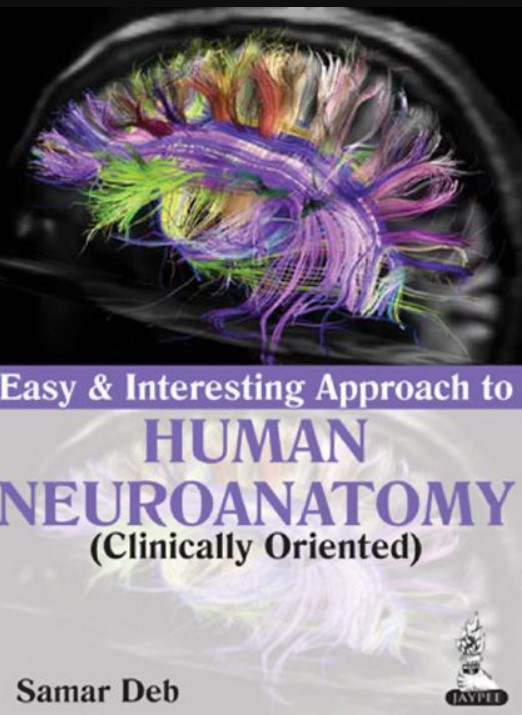 PDF Download Easy and Interesting Approach to Human Neuroanatomy (Clinically Oriented) Free