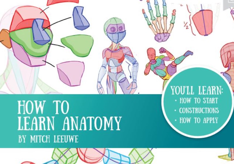 PDF Download How to Learn Anatomy Free
