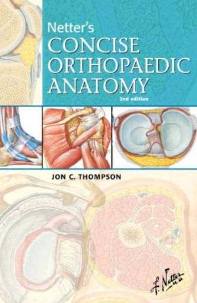 PDF Download Netter’s Concise Orthopaedic Anatomy 2nd Edition Free