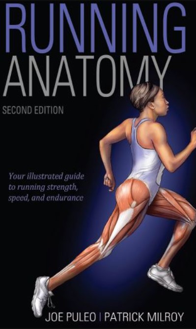 PDF Download Running Anatomy 2nd Edition Free