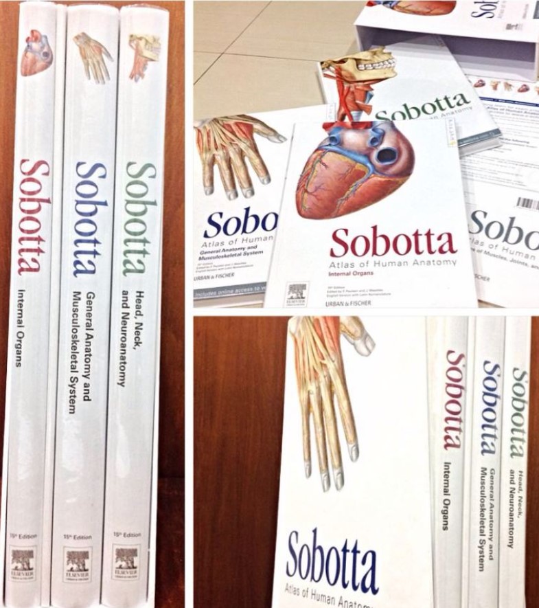 PDF Download Sobotta Atlas of Human Anatomy Volume 1-2-3 Free