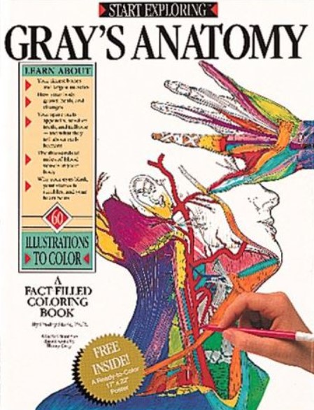 PDF Download Start Exploring Gray’s Anatomy A Fact-Filled Coloring Book Free