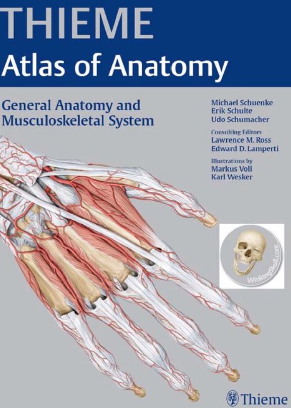 PDF Download THIEME Atlas of Anatomy – General Anatomy and Musculoskeletal System Free