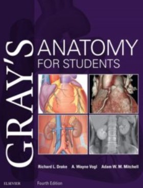 PDF Download Gray’s Anatomy for Students 4th Edition Free