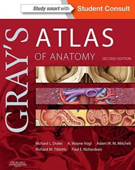 PDF Download Gray’s Atlas of Anatomy 2nd Edition Free