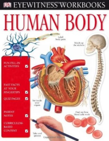 PDF Download Human Body Free