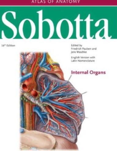 PDF Download Sobotta Atlas of Anatomy Internal Organs 16th Edition Free