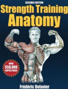 PDF Download Strength Training Anatomy 2nd Edition Free