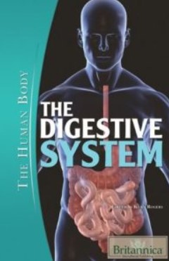 PDF Download The Digestive System (The Human Body) Free