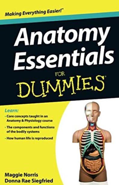 Download Anatomy Essentials For Dummies PDF Free