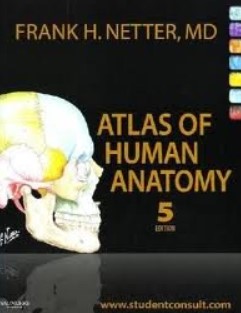 Download Atlas of Human Anatomy 5th Edition PDF Free