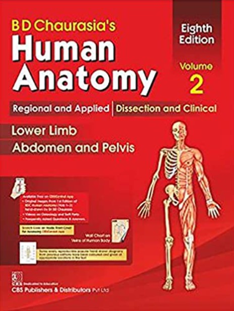 Download BD Chaurasia's Human Anatomy Volume 2: Lower Limb, Abdomen and Pelvis 8th Edition PDF Free