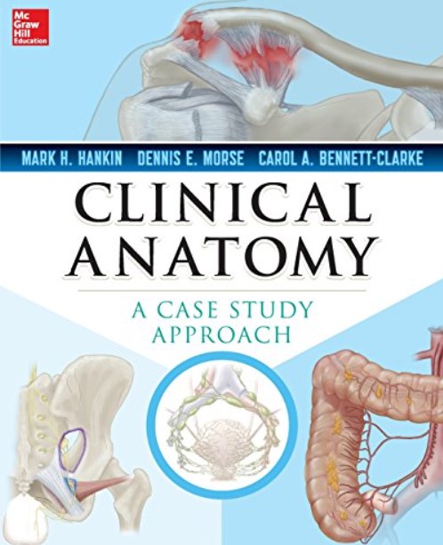 Download Clinical Anatomy A Case Study Approach PDF Free