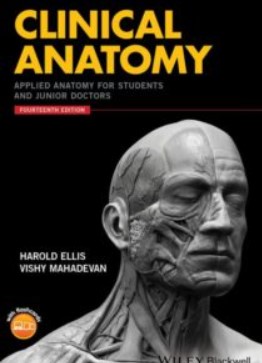 Download Clinical Anatomy Applied Anatomy for Students and Junior Doctors 14th Edition PDF Free