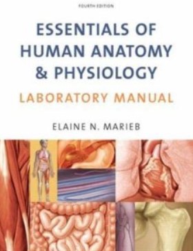 Download Essentials of Anatomy and Physiology 4th Edition PDF Free