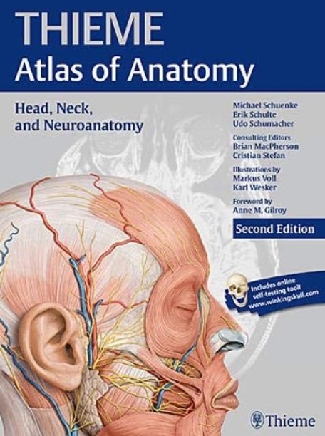 Download Head Neck and Neuroanatomy 2nd Edition PDF Free