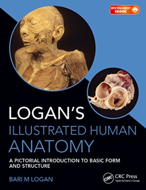 Download Logan’s Illustrated Human Anatomy 1st Edition PDF Free