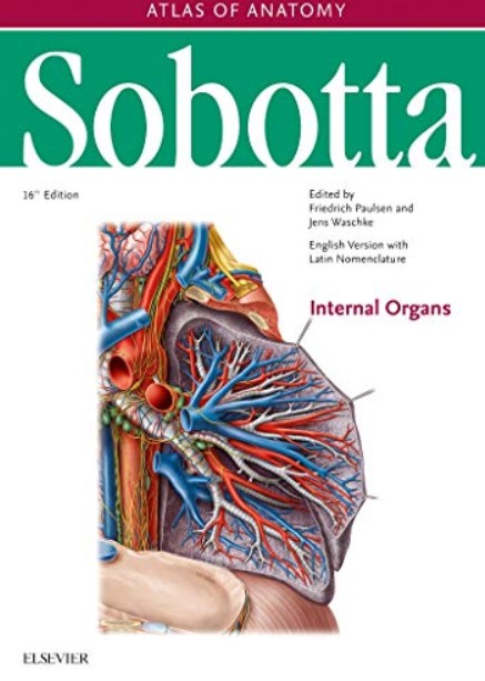 Download Sobotta Atlas of Anatomy Volume 2 Internal Organs PDF Free