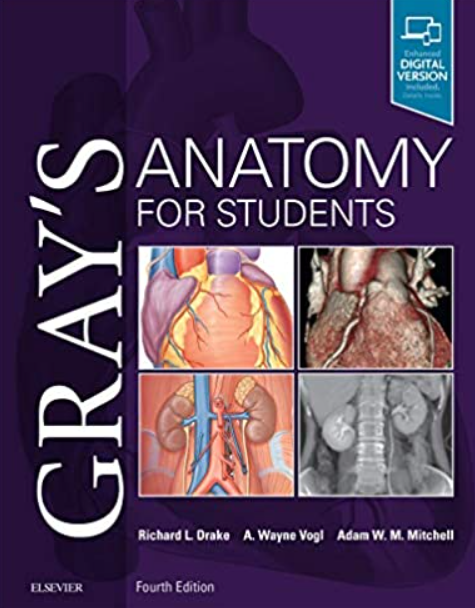 Download Gray's Anatomy for Students 4th Edition PDF Free