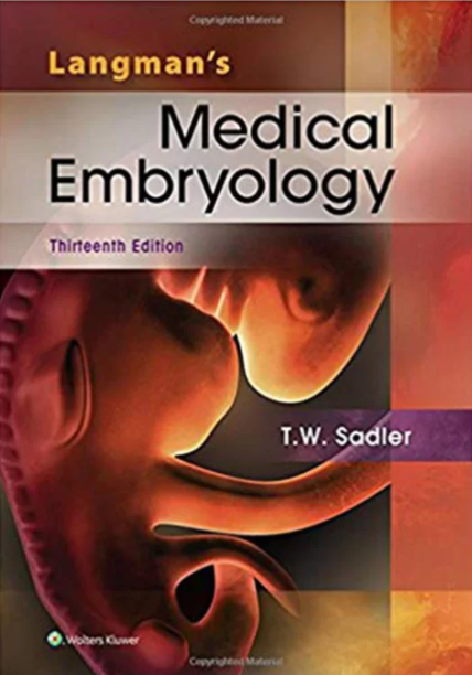 Download Langman’s Medical Embryology 13th Edition PDF Free