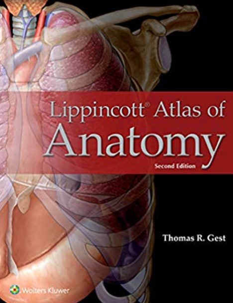 Download Lippincott Atlas of Anatomy 2nd Edition PDF Free