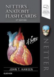 Download Netter’s Anatomy Flash Cards 5th Edition PDF Free