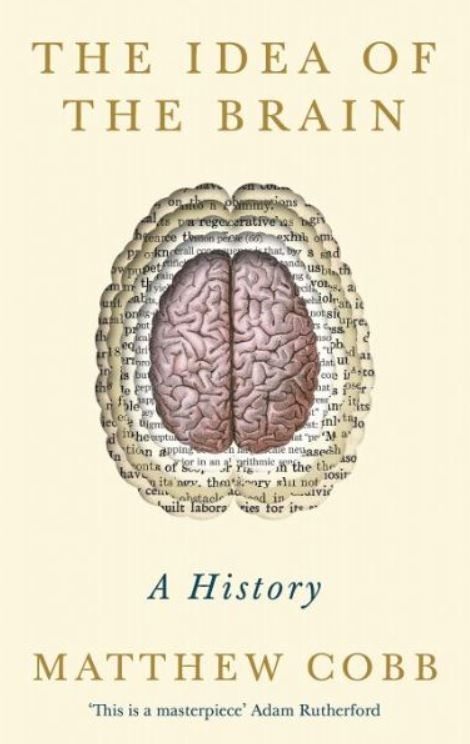 The Idea of the Brain: A History PDF Free Download