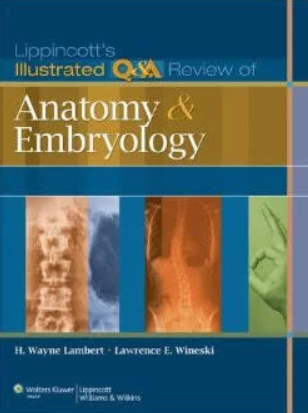 Lippincott’s Illustrated Q&A Review of Anatomy and Embryology eBook PDF Download