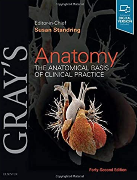 Gray's Anatomy: The Anatomical Basis of Clinical Practice 42nd Edition PDF Free Download