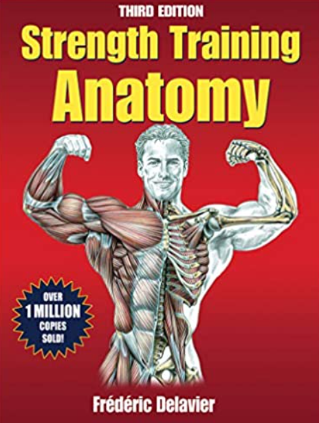 Strength Training Anatomy 3rd Edition PDF Free Download