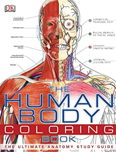 The Human Body Coloring Book: The Ultimate Anatomy Study Guide PDF Free Download