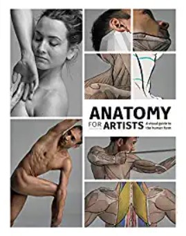 Anatomy for Artists: A visual guide to the human form PDF Free Download