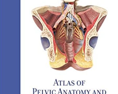 Download Atlas of Pelvic Anatomy and Gynecologic Surgery 5th Edition PDF Free
