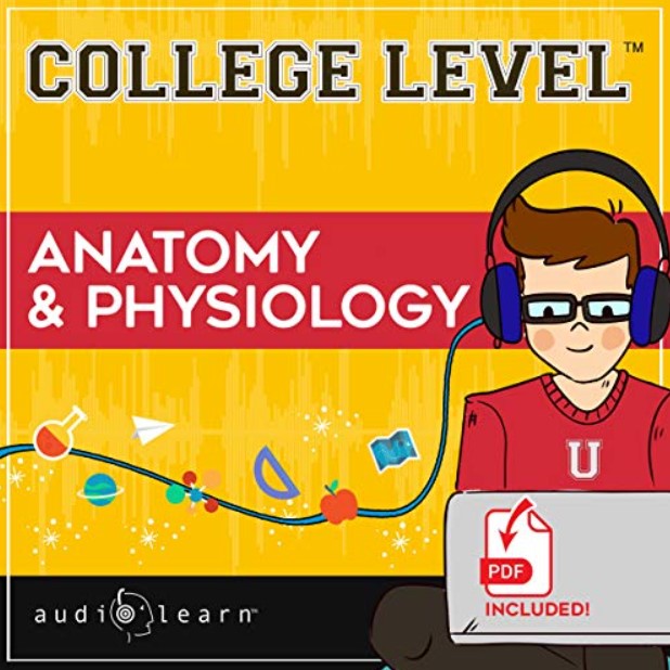 Download AudioLearn College Level Anatomy and Physiology PDF and Audio Free