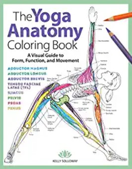 Download The Yoga Anatomy Coloring Book PDF Free