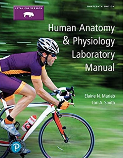 Download Human Anatomy & Physiology Laboratory Manual, Fetal Pig Version 13th Edition PDF Free