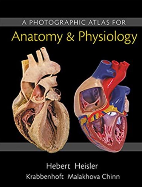 Download Photographic Atlas for Anatomy & Physiology, A 1st Edition PDF Free