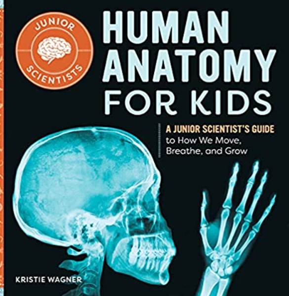 Human Anatomy for Kids PDF Free Download