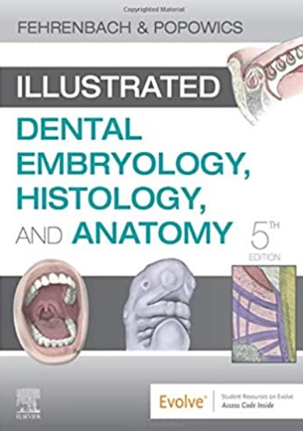 Download Illustrated Dental Embryology, Histology, and Anatomy 5th Edition PDF Free