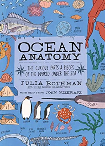 Download Ocean Anatomy: The Curious Parts & Pieces of the World under the Sea PDF Free