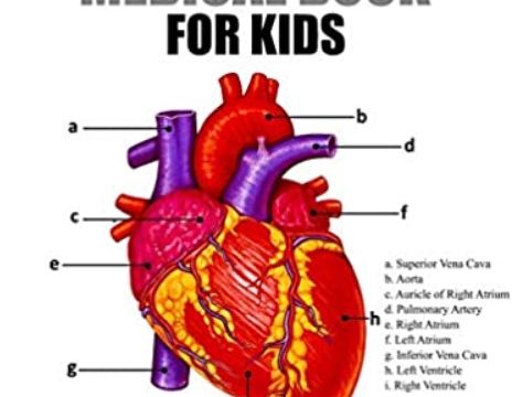 Download The Anatomy Medical Book For Kids PDF Free