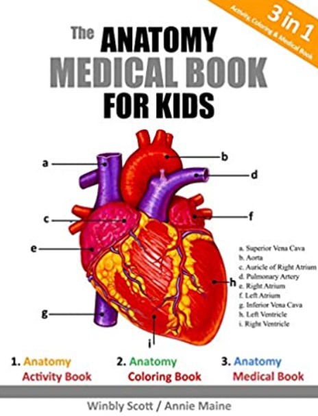 Download The Anatomy Medical Book For Kids PDF Free